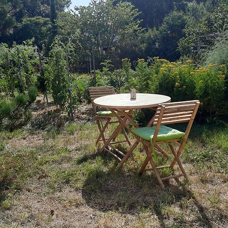 Le Grand Souffle Hotel Dolus-d'Oleron Luaran gambar