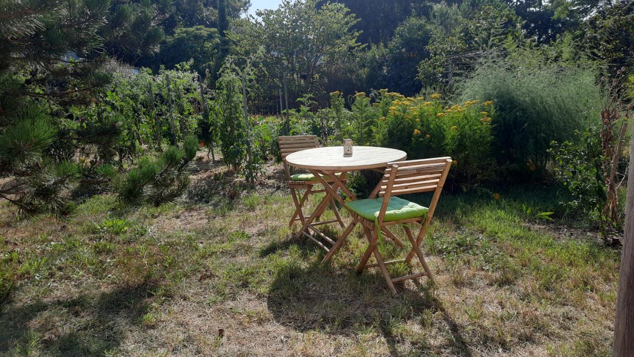 Le Grand Souffle Hotel Dolus-d'Oleron Luaran gambar